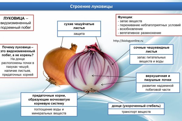 Рабочее зеркало на кракен