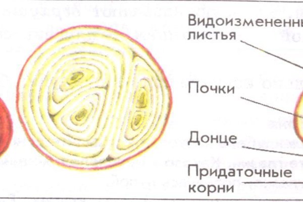 Кракен не работает тор