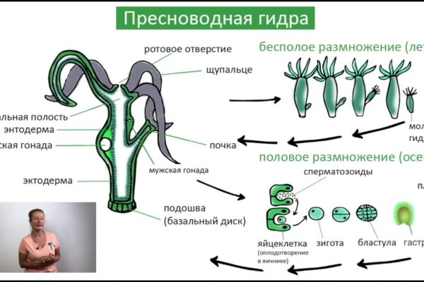 Где брать ссылки на кракен