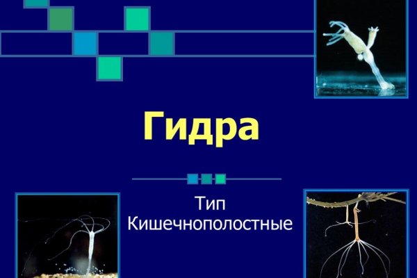 Кракен официальный сайт